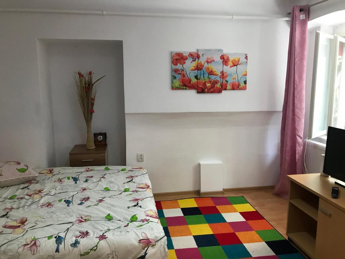 The Charming One Appartement Braşov Buitenkant foto