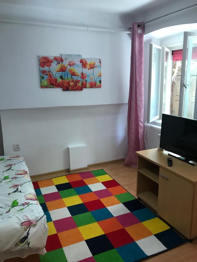 The Charming One Appartement Braşov Buitenkant foto