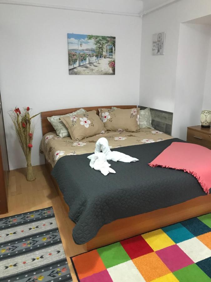 The Charming One Appartement Braşov Buitenkant foto