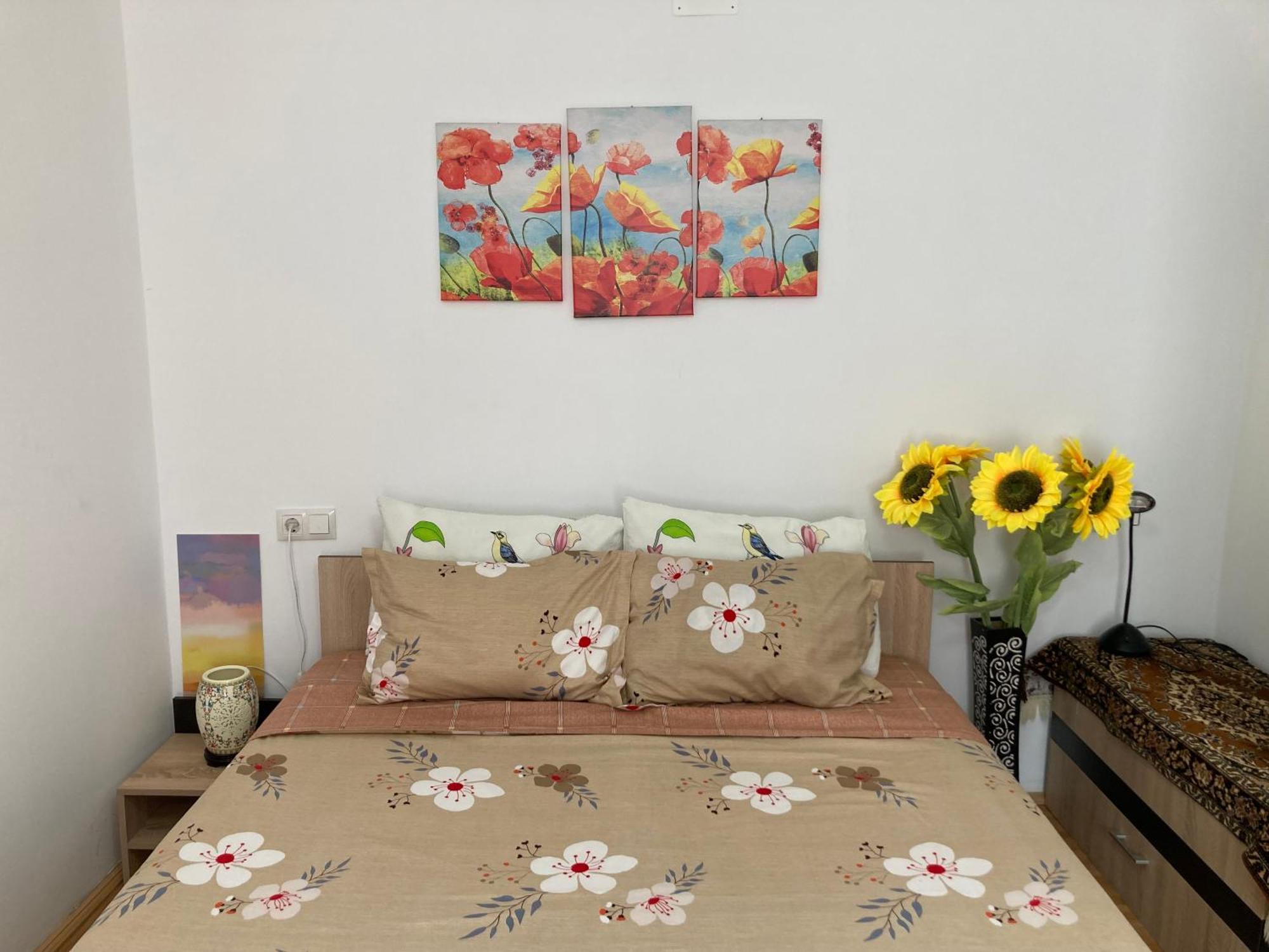 The Charming One Appartement Braşov Buitenkant foto